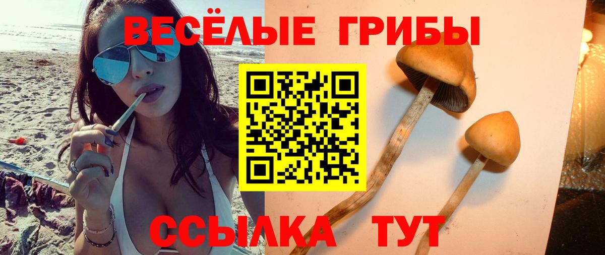 Псилоцибиновые грибы мухоморы Мирный